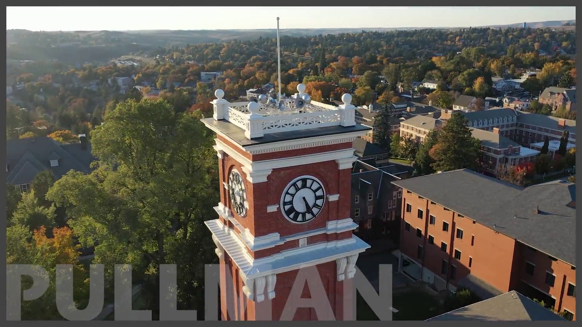 WSU Pullman - College of Veterinary Medicine  — May 2021's clip video thumbnail